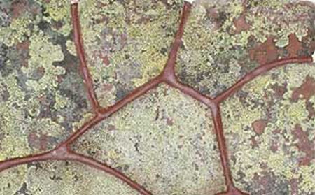 Песчаник красный с живым лишайником, 15 - 40 мм